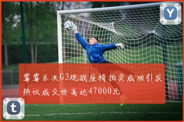 霉霉东决G3观战座椅拍卖成功引发热议成交价高达47000元