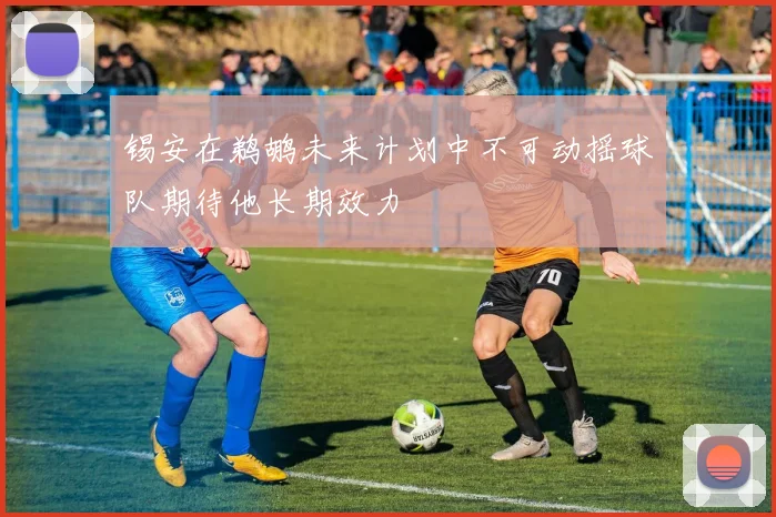 锡安在鹈鹕未来计划中不可动摇球队期待他长期效力